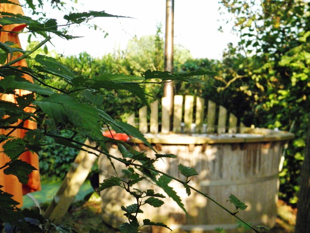 Bed & Breakfast Hofstede Het Klaphek Randwijk 部屋 写真